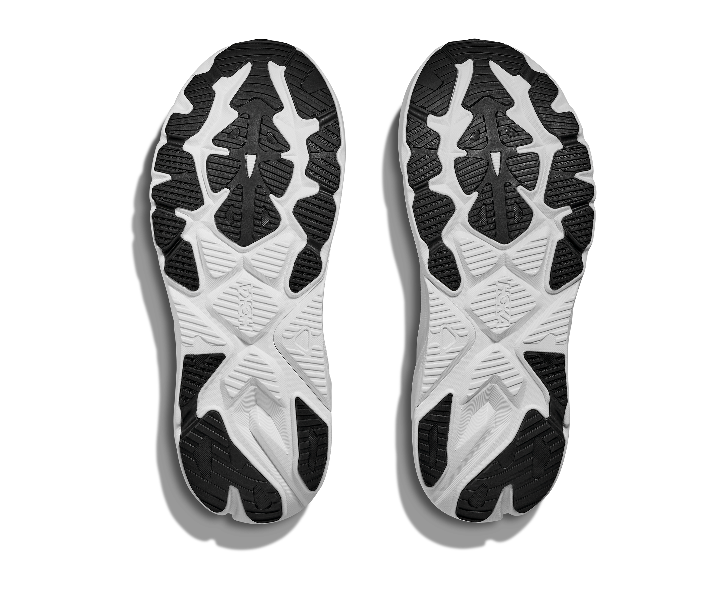 Women's Arahi 8