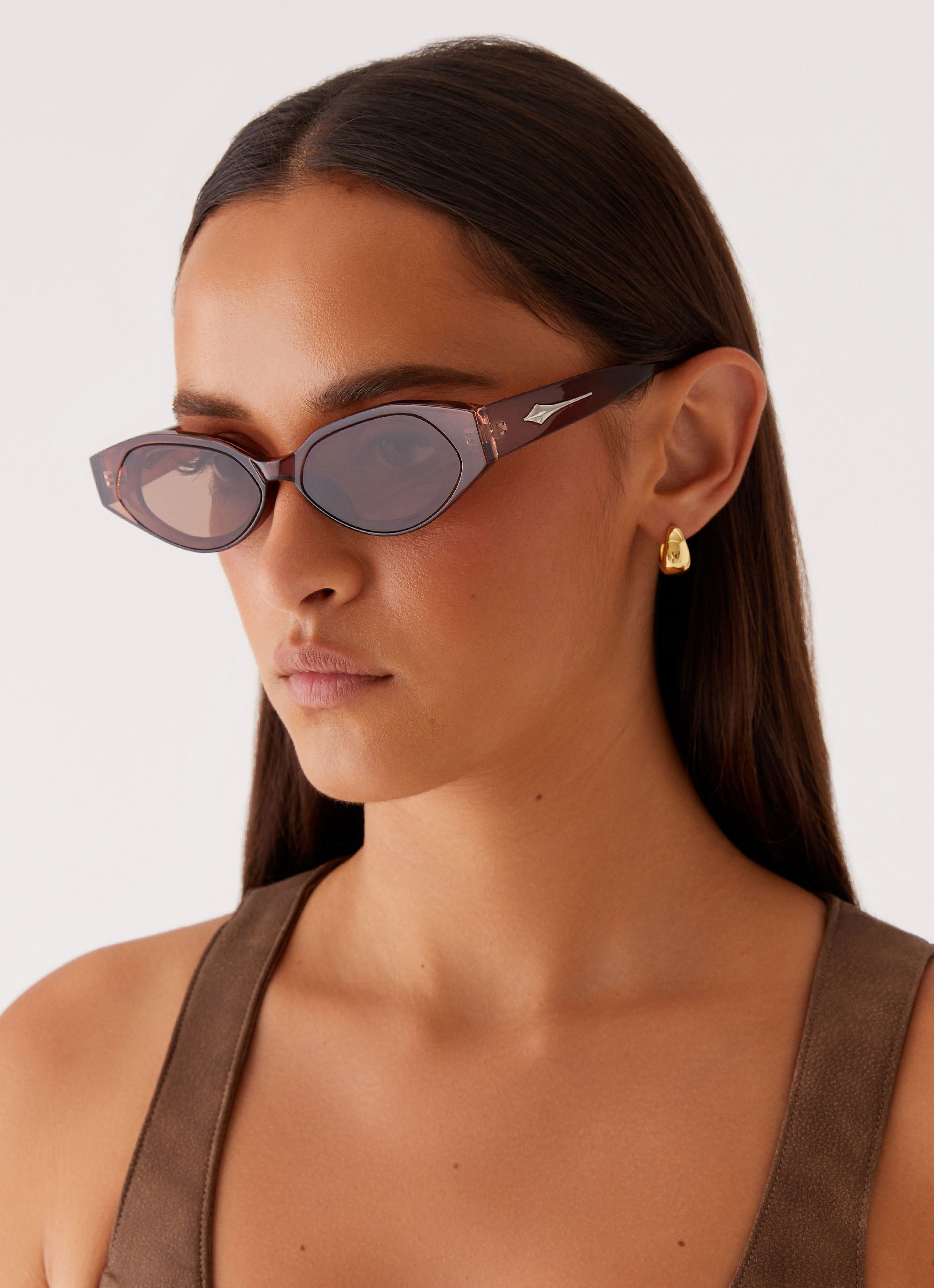 Laffrey Sunglasses - Brown