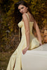 Buttercup Bustier Sundress